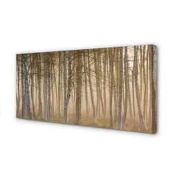 tulup.si Slika na platnu Sunrise drevo gozd 100x50 cm