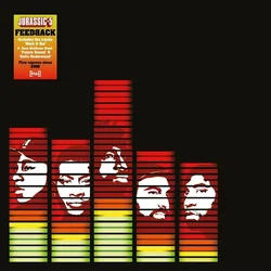 Jurassic 5 - Feedback (2 LP)