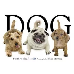 Matthew Van Fleet,Brian Stanton - Dog