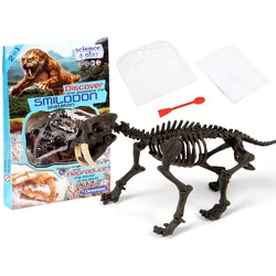 Set skeleta sabljozubog tigra – Smilodon