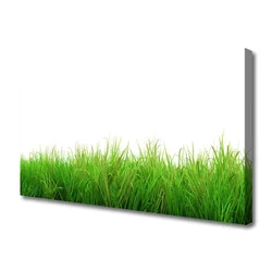 tulup.si Slika na platnu Grass nature rastlin 125x50 cm