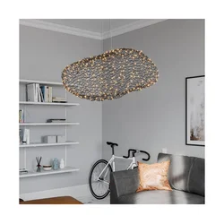 ByRydens 4201260-4002 - LED luster na sajli HAYDEN LED/20W/230V crna
