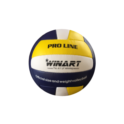 Odbojka WINART PRO LINE št. 5