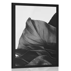 Plakat očarljiv list monstere v črnobeli varianti - 60x90 no frame
