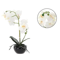 CHOMIK UMETNO CVETJE - BELO ORHIDEJO 30 CM