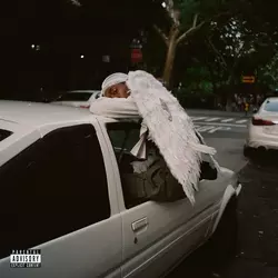 Blood Orange - Negro Swan (2 LP)