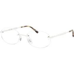 Ray-Ban RX3767V 3205