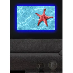Zidna slika sa LED osvetljenjem 4570DACT-17, 45x70 cm