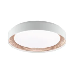 Brilliant - LED prigušiva stropno svetlo WALDO LED/24W/230V bela/ružičasto zlato + daljinski upravljač