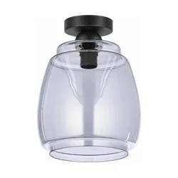 BRILAGI - LED plafonsko svetlo R GLASS 1xE27/60W/230V prečnik 26 cm crna/dim siva