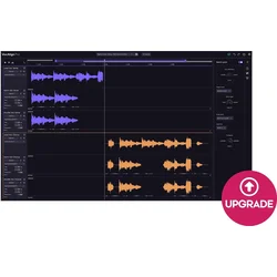 Synchro Arts VocAlign 7 Pro Crossgrade (Digitalni izdelek)