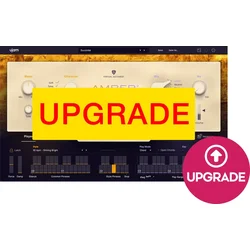 UJAM AMBER 2 Upgrade (Digitalni izdelek)