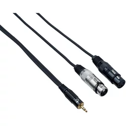 Bespeco EAYMS2FX500