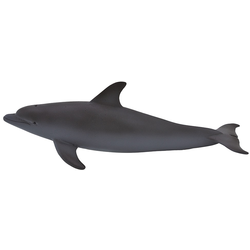 Mojo poskočni delfin