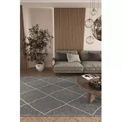 Conceptum Hypnose Carpet Elite 02, 160x200 cm, siva