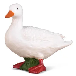 COLLECTA raca