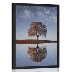 Plakat zvezdnato nebo nad osamljenim drevesom - 40x60 no frame