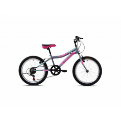 CAPRIOLO BICIKL MTB STINGER - G 20 ŽENE