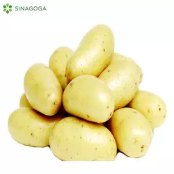 KROMPIR BELI POVOC