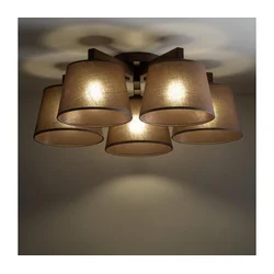 Brilagi - Pritrjen stropni lestenec LATTE 5xE27/60W/230V borovica/rjava