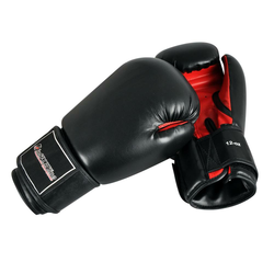 rokavice za boks inSPORTline Creedo