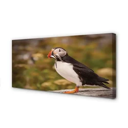 tulup.si Slika na platnu Parrot 125x50 cm