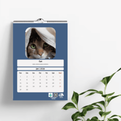 Pawz Zidni Kalendar 2026