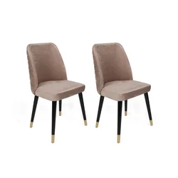 Hanah Home Set 2 trpezarijske stolice Šareni