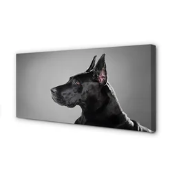 tulup.si Slika na platnu Črni pes 140x70 cm