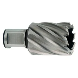 Metabo HSS krunaste Weldon burgije 32x30 mm 626520000