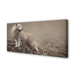 tulup.si Slika na platnu Volk gore 140x70 cm