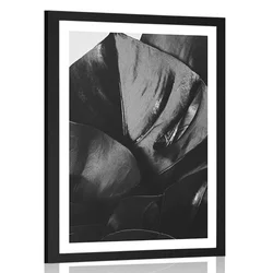 Plakat s paspartujem list monstere v črnobeli varianti - 60x90 no frame