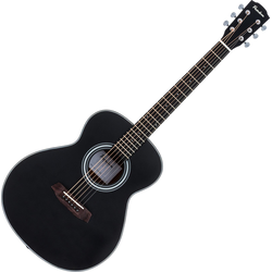 Pasadena PT-100 Black Akustična kitara
