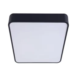 LED plafonsko svetlo FELIZ LED/50W/230V 4000K 40x60 cm crno