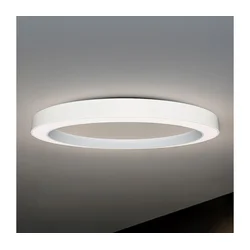 LED plafonsko svetlo LED/115W/230V 3000/4000/6500K prečnik 120 cm bela