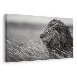 Slika kralj savane v travi - 40x30