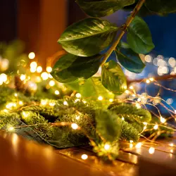 HOME Lampice za jelku sa 50 toplo belih mikro LED dioda