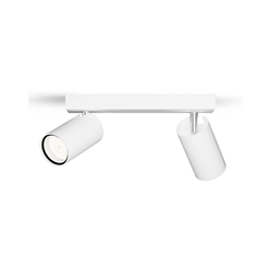 Philips - Kupatilsko spot svetlo IDRIS 2xGU10/5W/230V IP44 belo