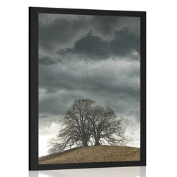Plakat samotna drevesa - 40x60 black