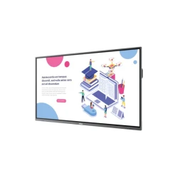 VIVITEK NovoTouch BK750i