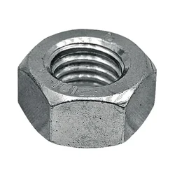 Ist Šesterokotna matica 6 mm 10 mm