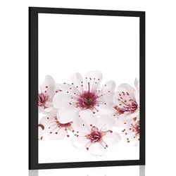 Plakat češnjevi cvetovi - 20x30 black