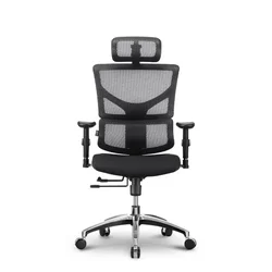 Ergovision Ergonomski pisarniški stol Smart Basic | Barva: Črna