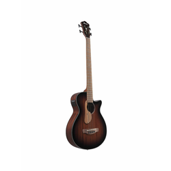 Ibanez AEGB24E-MHS