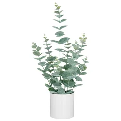 Veštačka Biljka Eukalyptus I