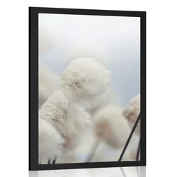 Plakat arktični cvetovi bombaža - 30x45 silver