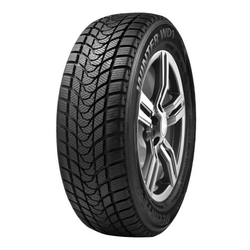 Delinte WD1 ( 195/60 R15 88H )