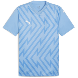 Puma Dres teamGLORY Jersey