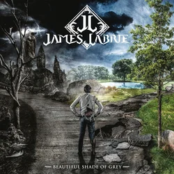 James Labrie - Beautiful Shade Of Grey (180 g) (LP + CD)