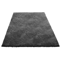 VEVOR Preproga 152x244 m Temno siva